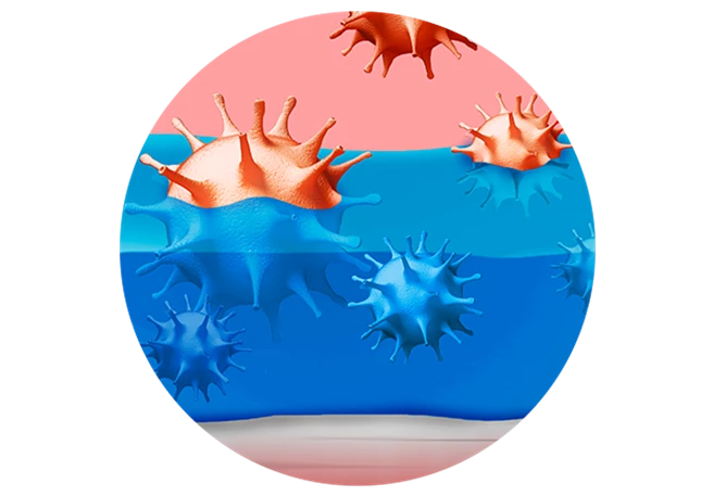 Grafik Bindung von Viren ViruProtect bindet Viren