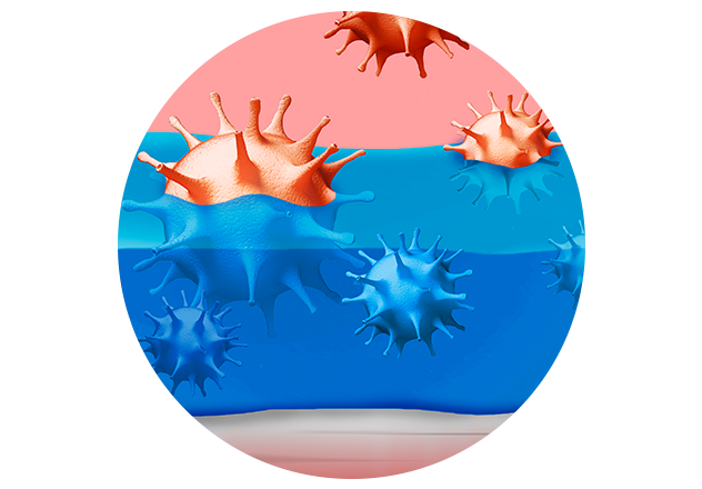 ViruProtect bindet Viren