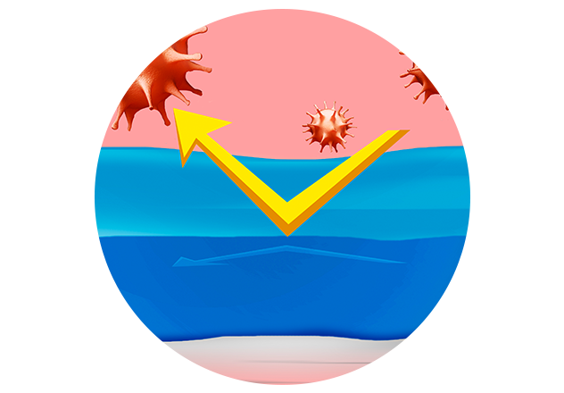 ViruProtect Schutzbarriere